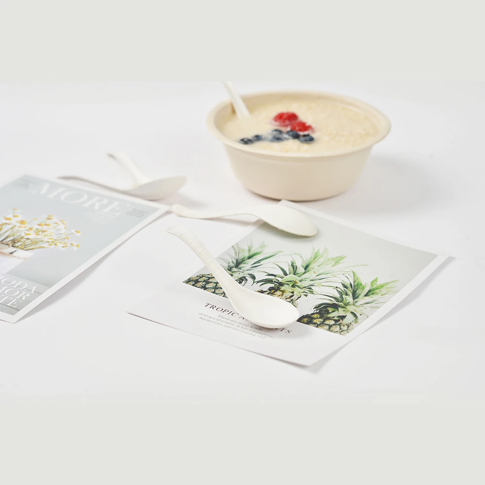Eco-friendly Compostable Disposable soup bowls biodegradable bagasse pulp paper tableware