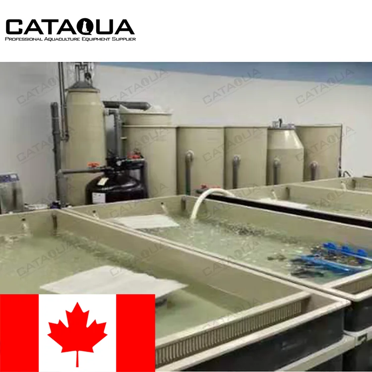 CATAQUA Ras System Canada Project Indoor Lobster Farming Low Temperature Water Treatment Machinery