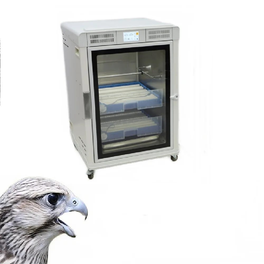 Hot Sale Bird Brooder Incubator Egg Hatchery Machine Automatic Macaw Parrots Egg Incubator Bird Eggs for Sale