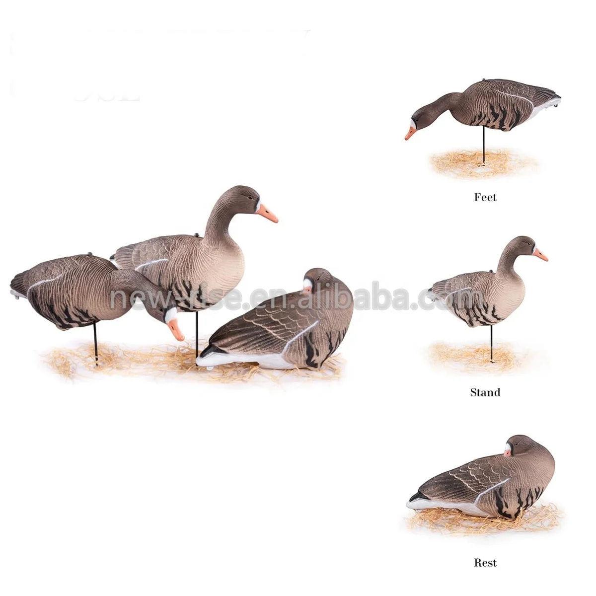 EVA Plastic Goose Decoy Garden Decoration 3D Foldable Specklebelly Feeding Resting Standing Goose For Hunting