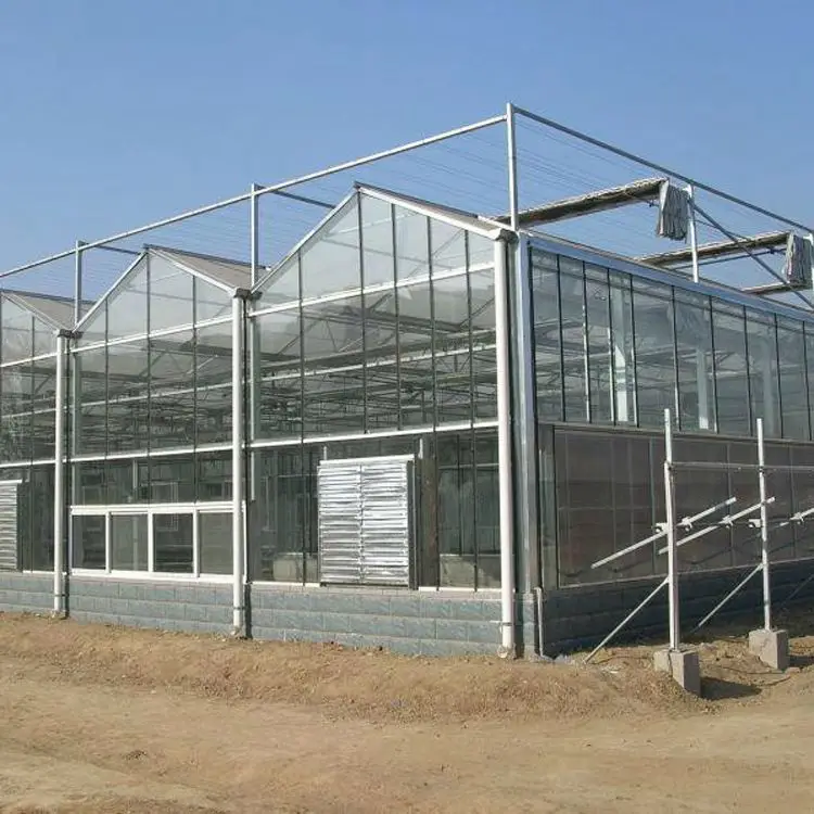 
Commercial glass greenhouse wit hydroponics and other equipments 