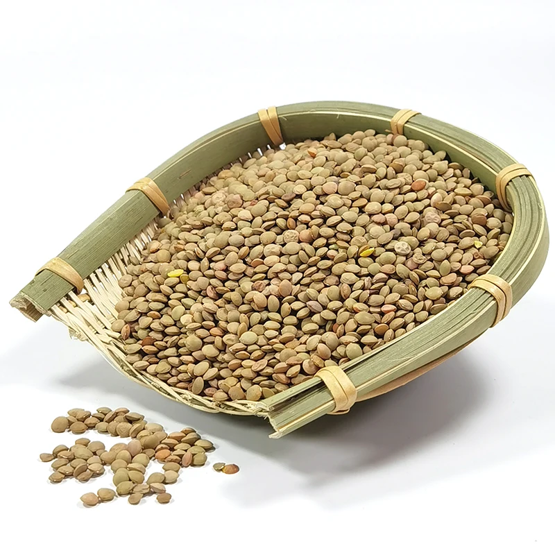 Supply lentils high quality green lentils 2020 new crop