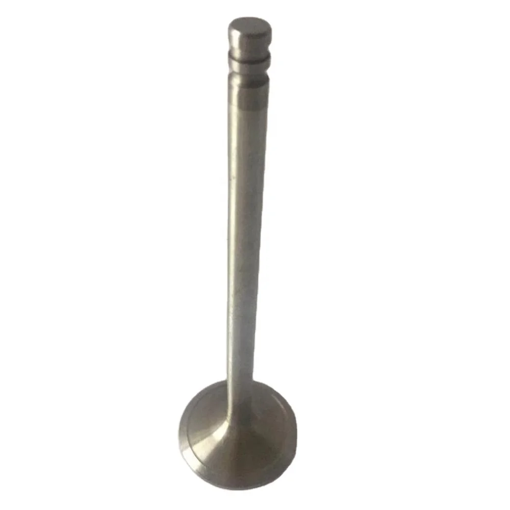 Engine intake outlet valve 465549-0 3825723 used for volvo FL6 Truck  D6A180 TD61 engine parts