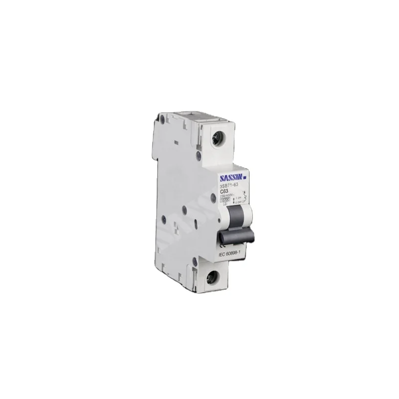 3SB71 Double Pole Single Pole CE MCB Circuit Breaker 80A 100A 125A SASSIN  10KA 125A for Project Market and Wholesale Market