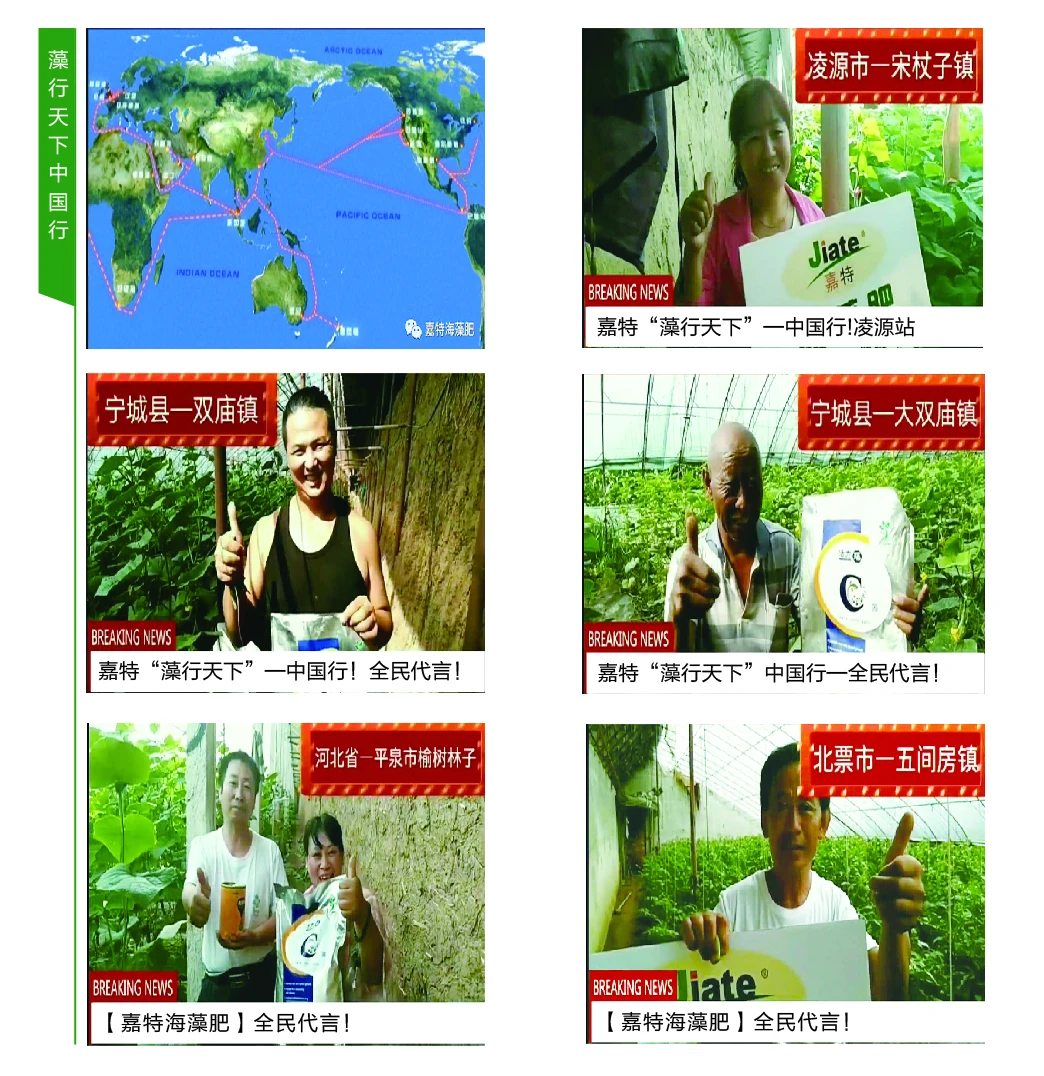 Agriculture Water Soluble NPK Fertilizer Price NPK 20-20-20