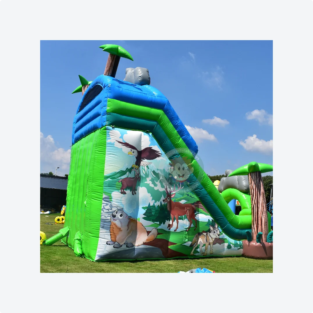 Inflatable Bouncy Bouncer with Slide Inflatable Toy Accessories Slide Adult Inflatable Slide