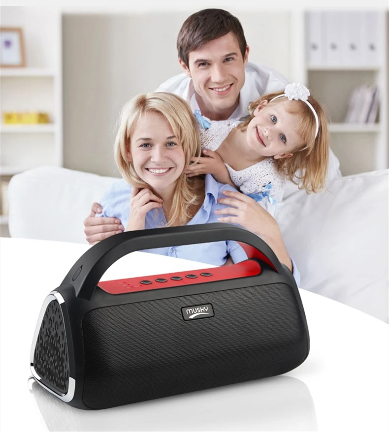 
MUSKY DY18 Super Bass Portable Mini Karaoke Waterproof Subwoofer Wireless TWS Blue tooth Computer Speaker with Microphone 