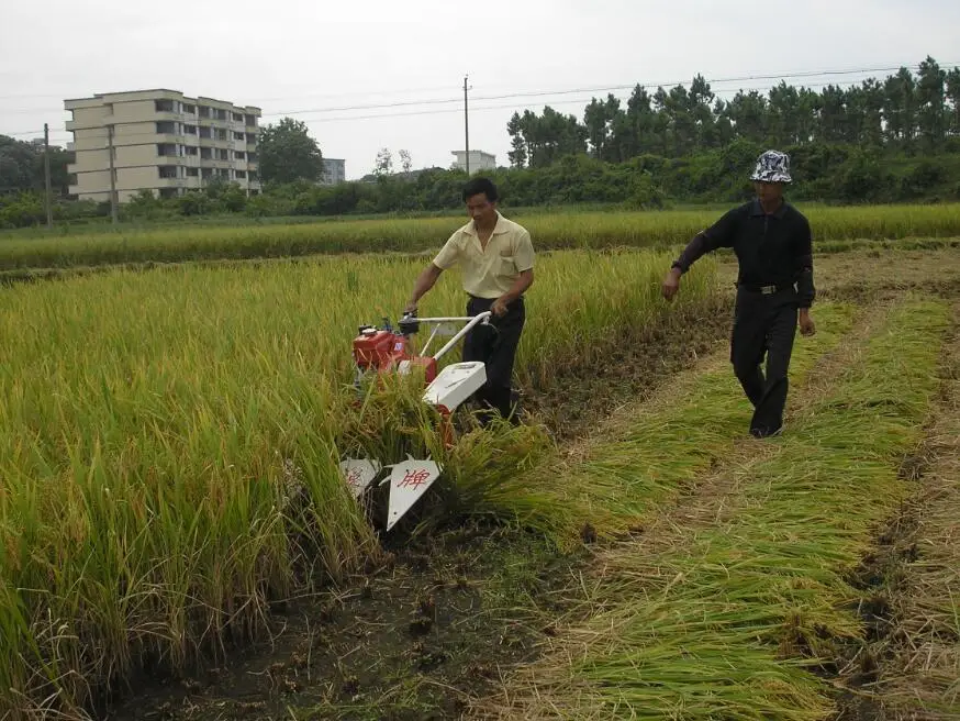 Сельскохозяйственная техника, уборочный комбайн для риса 4G120A, мини-уборочный комбайн для риса
