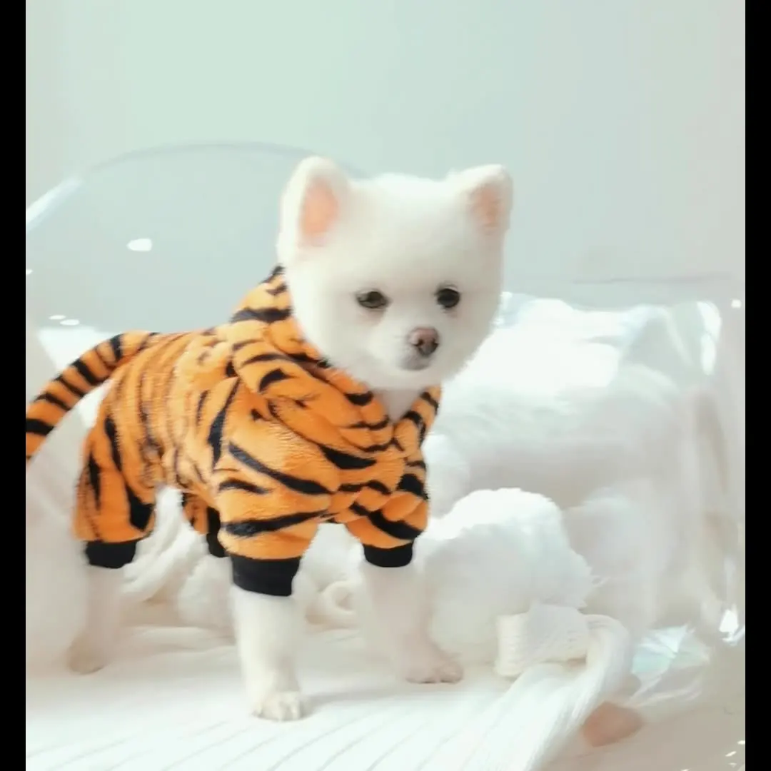 Pet Dog Tiger Hoodie Coat Funny Halloween Tiger Pet Clothes Cosplay Cute Dogs Costume Warm Apparel For Dog
