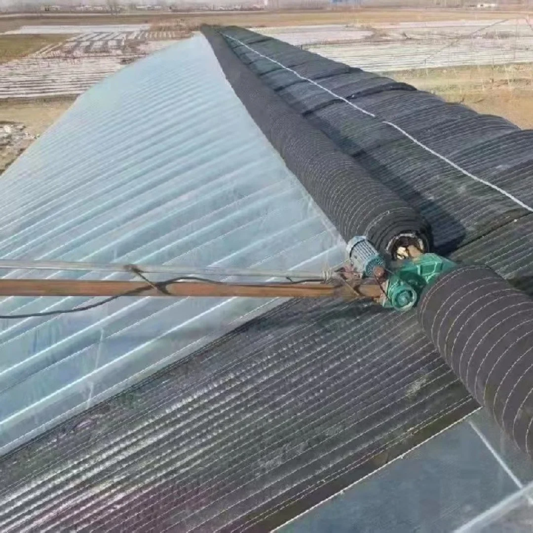 Agricultural Vegetable Planting Single Span Plastic Film Tunnel Green House kit Insulation Greenhouse Hoop House
