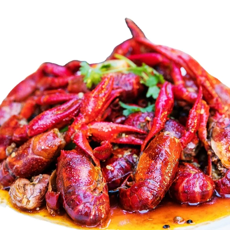 
crawfish near me red claw crayfish freshwater crayfish 