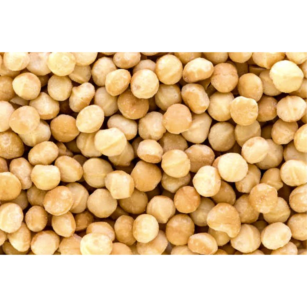 Premium grade the macadamia nut gift macadamia with best price