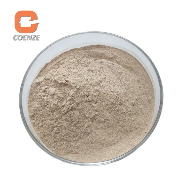 Food Grade Lipase Enzyme Powder Wholesale Price Lipase