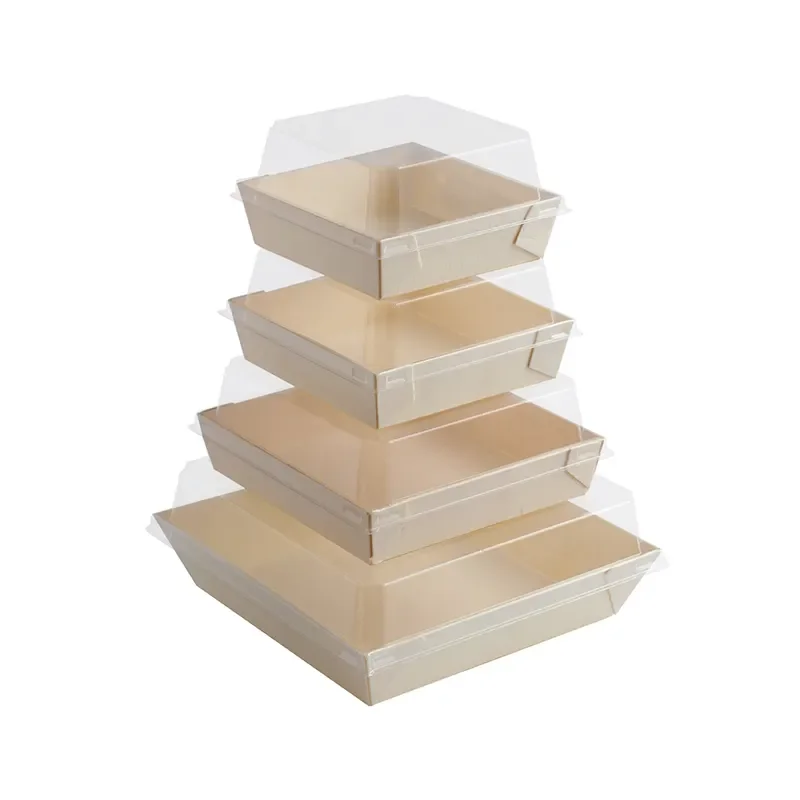 Lunch Boxes Recyclable Carton Cardboard 6 Pack Divider Catering Hot Dog Pla Pasta Cereal Microwaveable Ceramic Food Containers