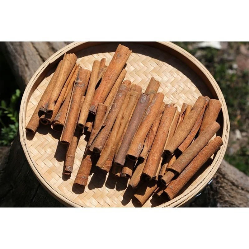Guangxi China Supplier Single spices Original Cinanamon Stick Cassia Premium Quality Natural Dried Cassia