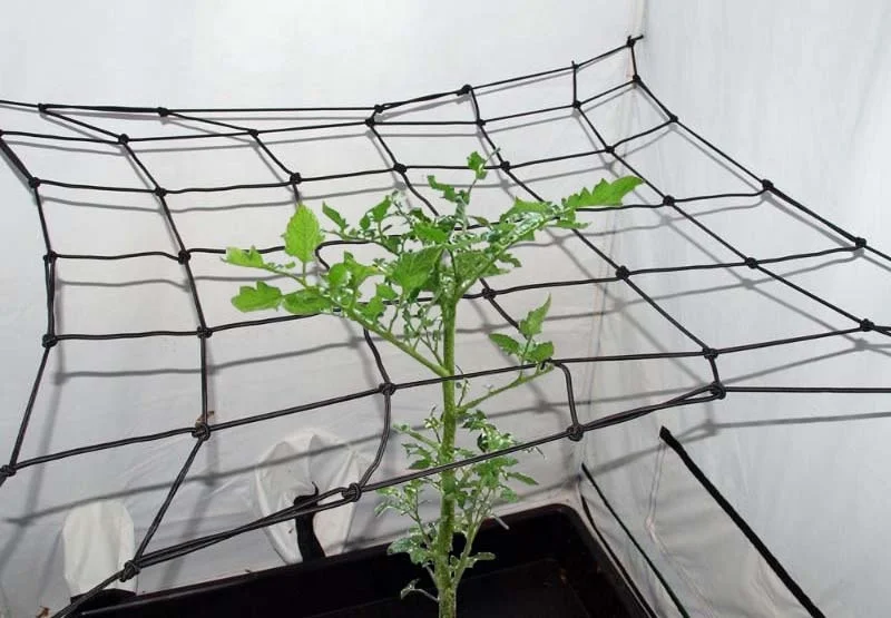  Эластичный Scrog сетка решетки W/Крючки для поддержки растений