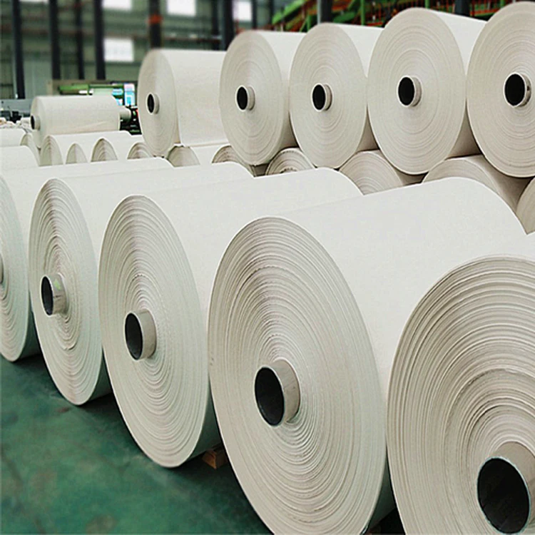 Professional Chinese Factory Manufacturing Complete Output 200kg/h Stone Paper Production Line