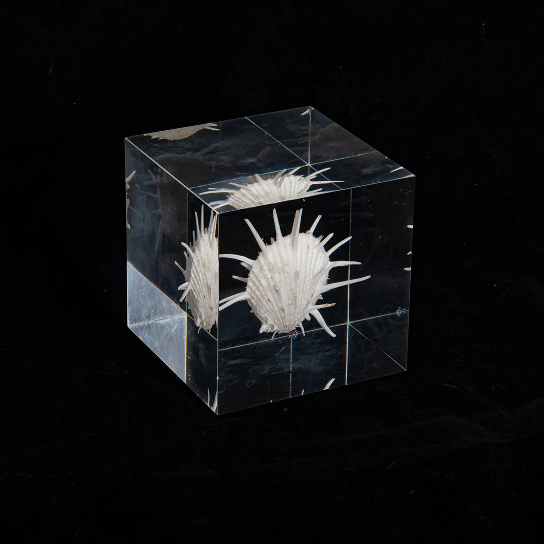 Solar Table  Solar System Shape Round Ring Model Best Quality Table Ware For Home  Living Room Decor