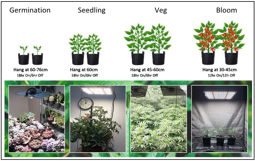 recommended distance.jpg