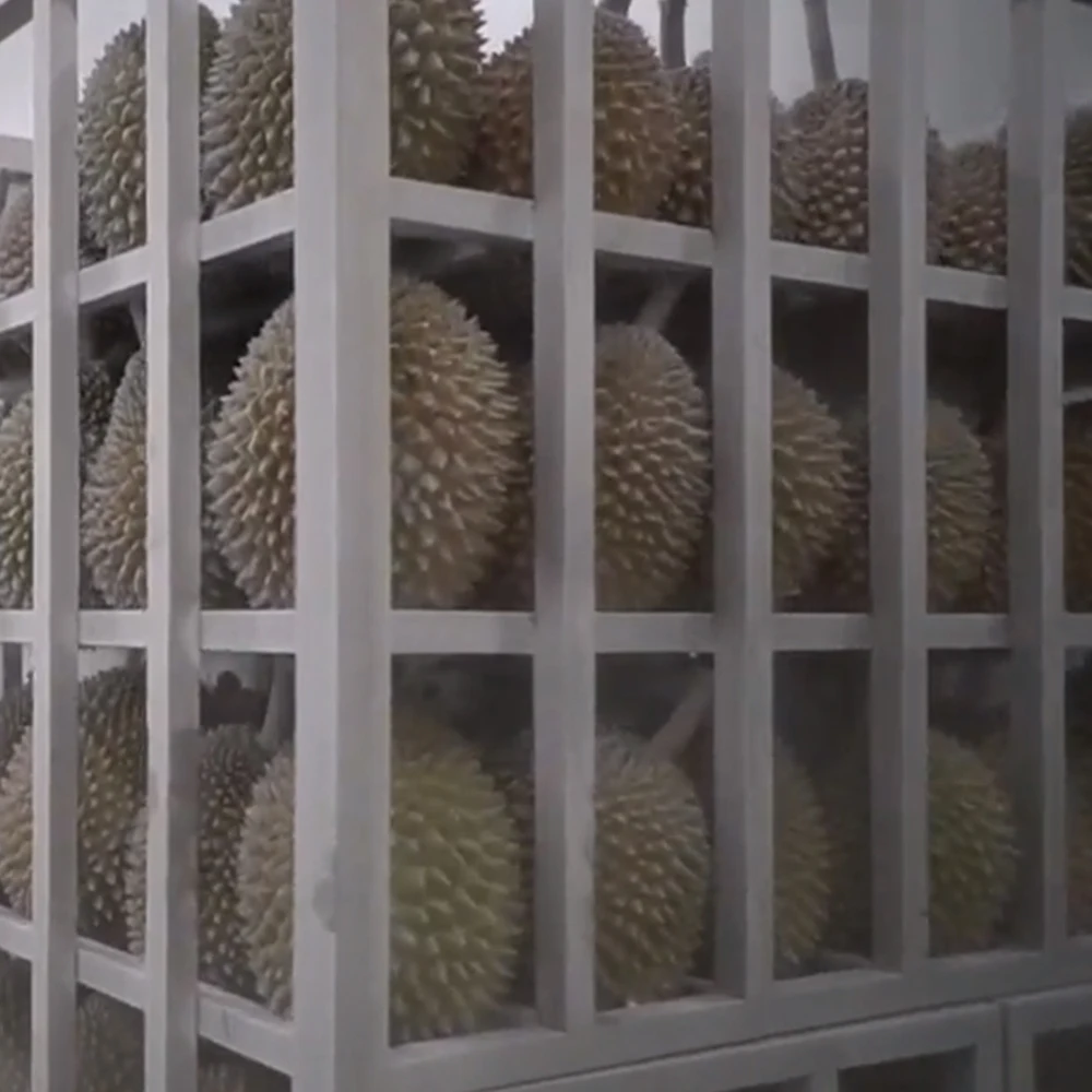 Вакуумный пакет высшего качества из желтого и золота свежий 3 кг замороженный Musang King Durian