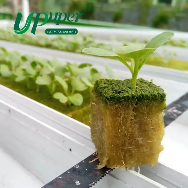 UPuper seed sprouting substrate growing media mineral wool hydroponic plant propagation plugs