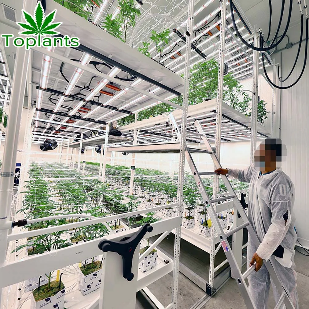 Irrigation Hydroponics Equipment Growing System Indoor