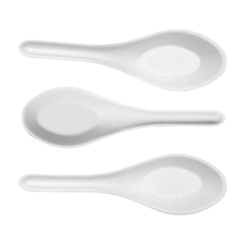 Bagasse Paper Edible Cutlery Heavyweight Disposable Biodegradable Cutlery Compostable Spoons