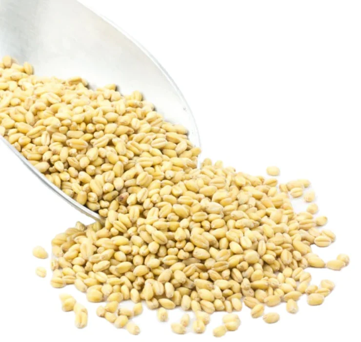 Лучшее качество Высококачественная сушеная Пшеница из твердых сортов 100% чистый натуральный Высокий Белок Австрии оптом