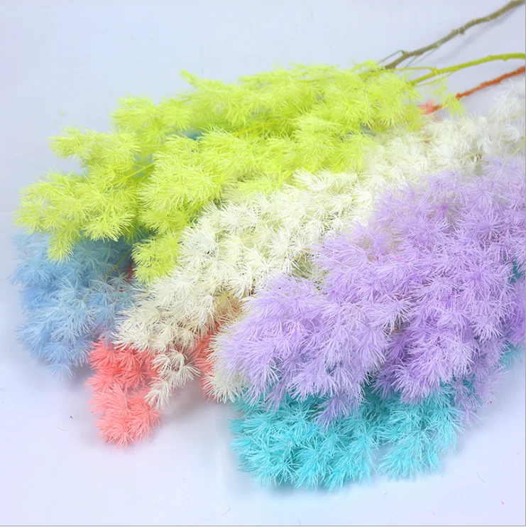 2021 Factory Wholesale various Color Asparagus Dried Preserved Ming Ferns