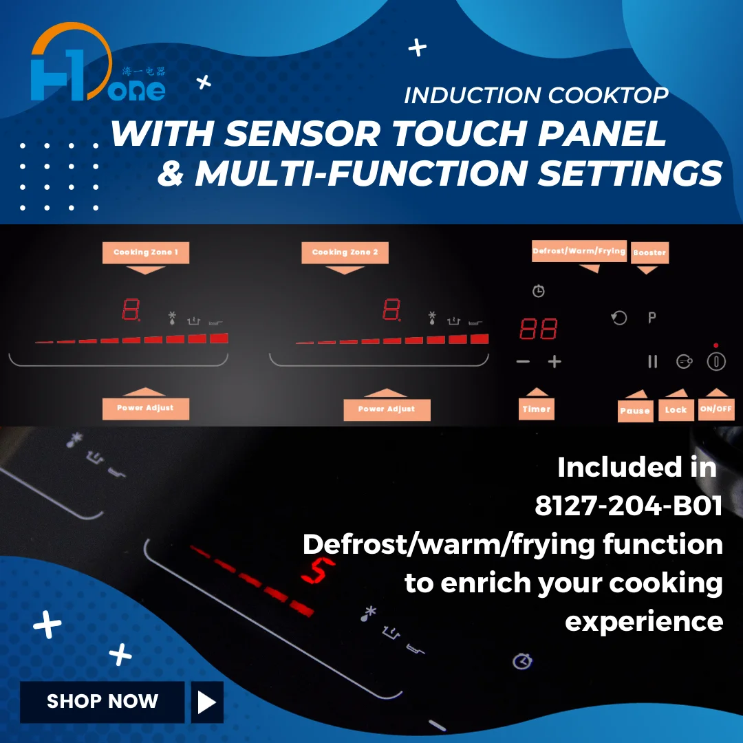 OEM/ODM Auto switch off built in 2 burner induction cooker
