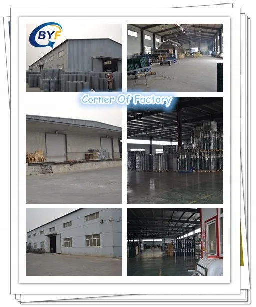 China Factory Galvanized Welded Wire Mesh For Garden