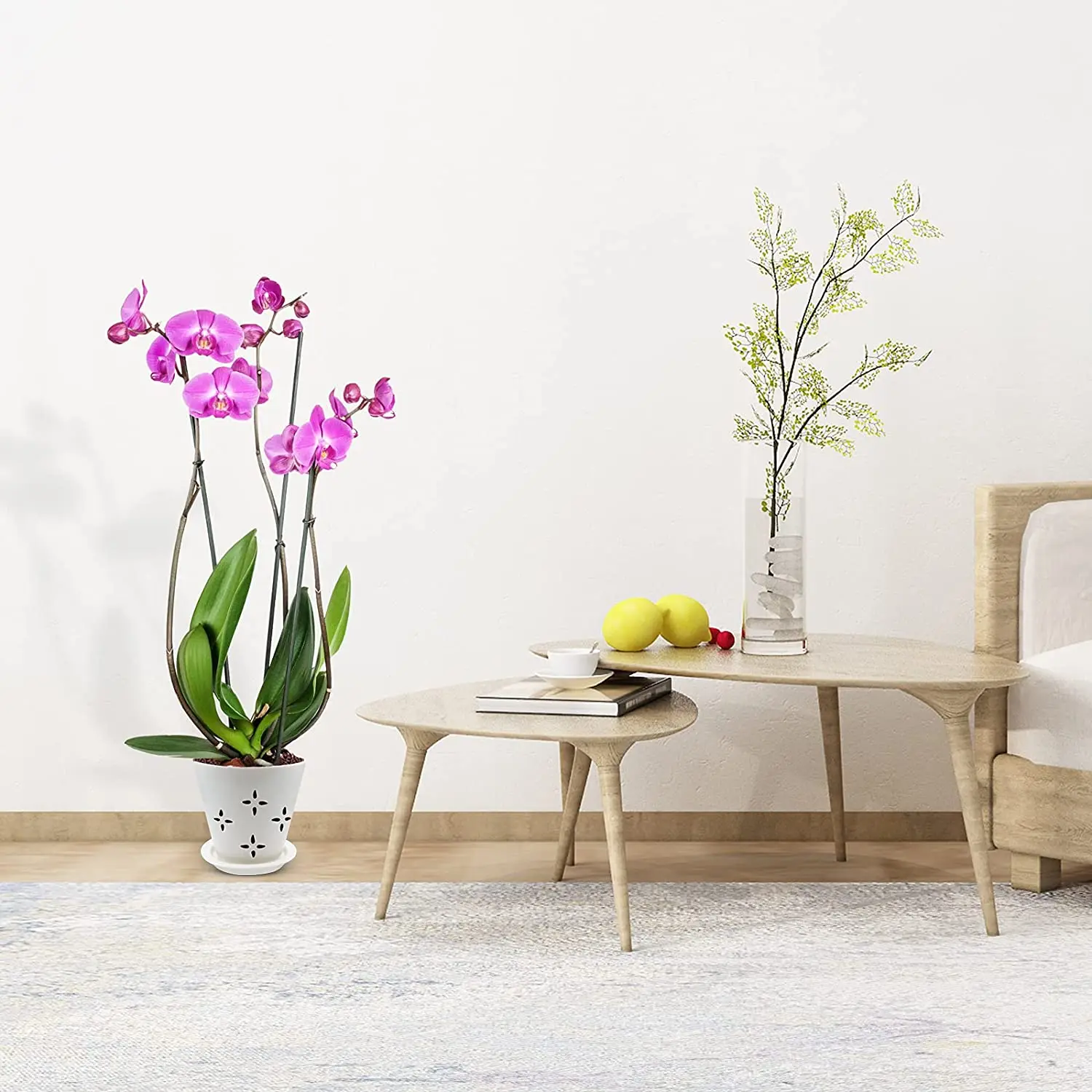 large best ceramic clay orchid planter pot with hole for sale