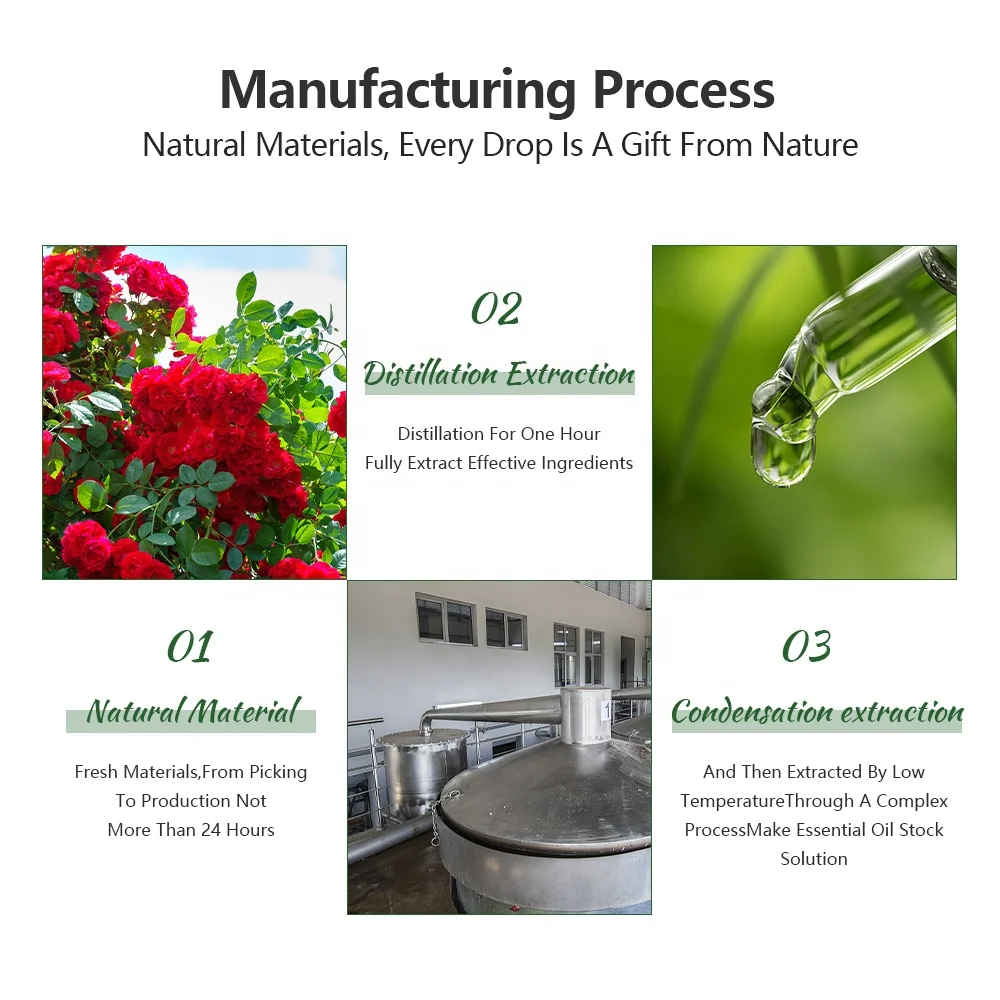 HL- Natural jamaican black seed oils supplier,500ML, Wholesale Organic Black Castor oil carrier oil for Hair growth | Bulk Price