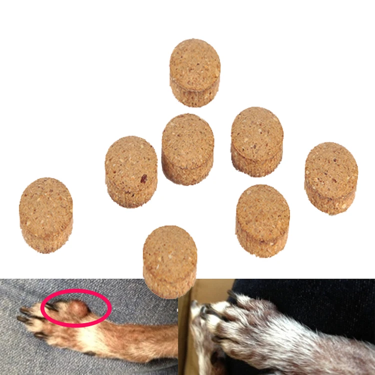 Лекарственные грибы, здоровая пищевая добавка для собачьих суставов для большого аппетита