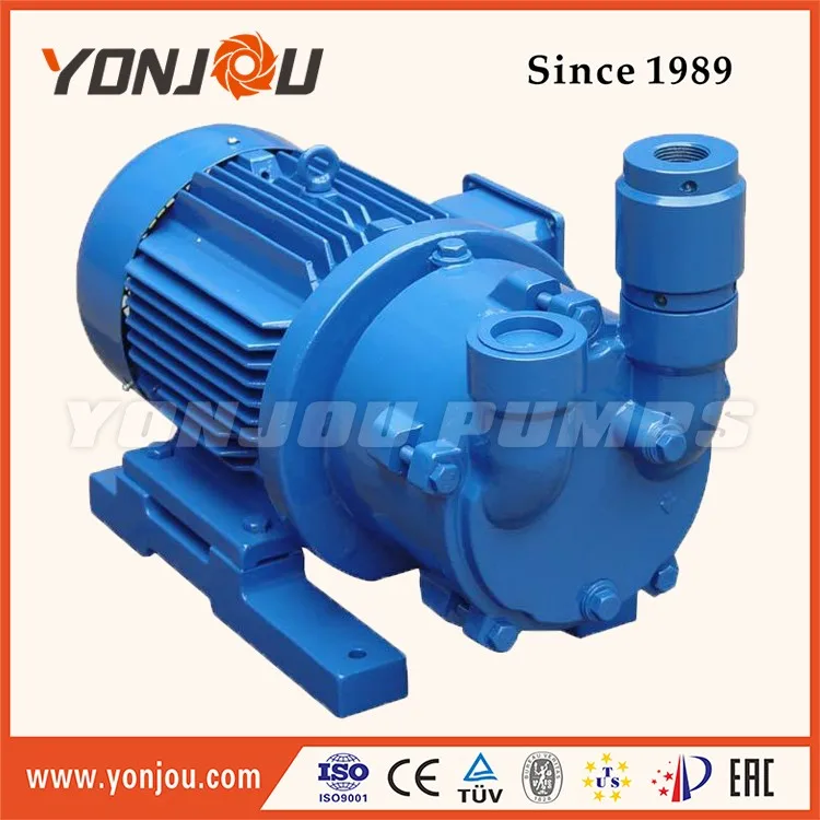 Single Stage Liquid Ring Vacuum Pump for Automotive Industry Stainless Steel Water Ring Pump with High Vacuum Performance