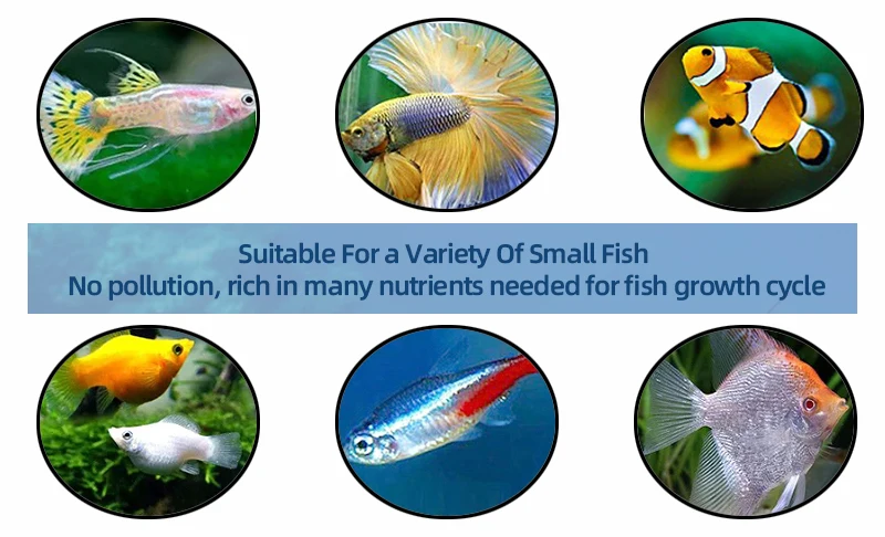 High Protein High Hatch Rate Fish Food Pet Supplies Artemia Brine Shrimp Eggs Fish Feed can be customized