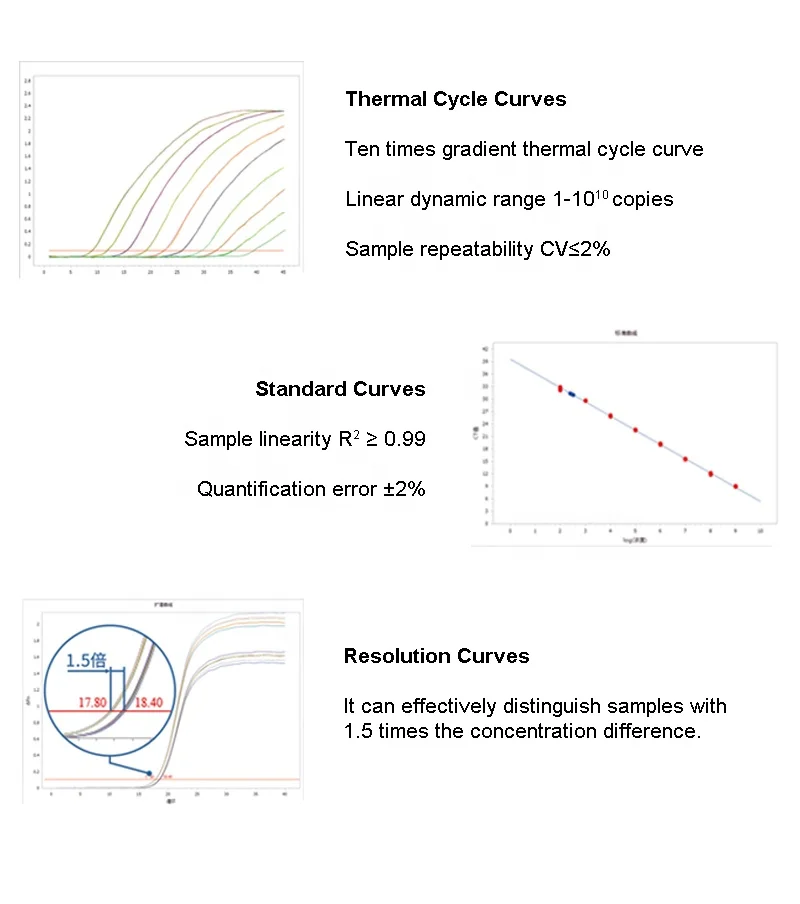 Wayeal GT-96 Real Time qPCR System Machine Quantitative Polymerase Chain Reaction Nucleic Acid Detection 96 Wells QPCR Machine