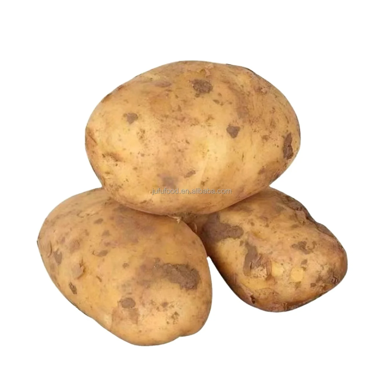 China Fresh Potato Export 100-600g Sweet Potato