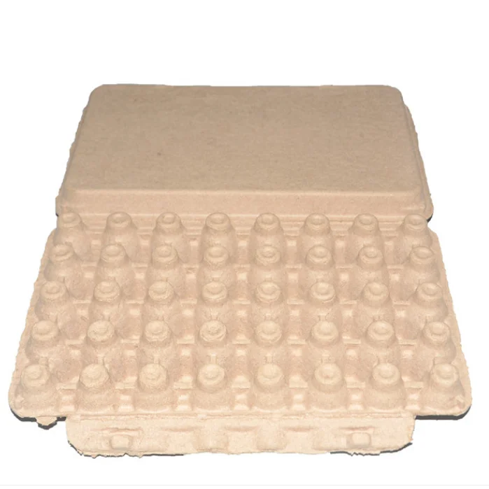 Paper Pulp Egg Carton Biodegradable Pulp Fiber Egg Tray Molded Paper Pulp Packaging Tray Carton Box