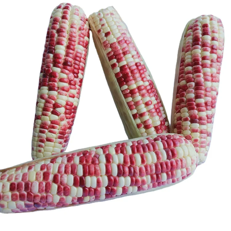 
 Горячая Распродажа, вакуумная упаковка, сладкая клейкая Кукуруза 2021 года  