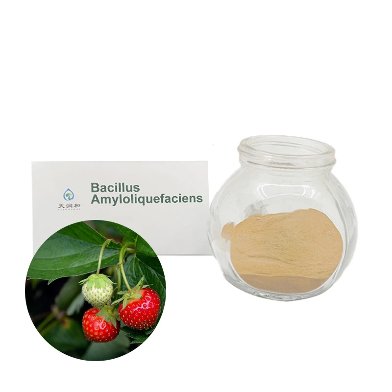 Bio-Fertilizer Bacillus Amyloliquefaciens Azotobacter Hot Selling