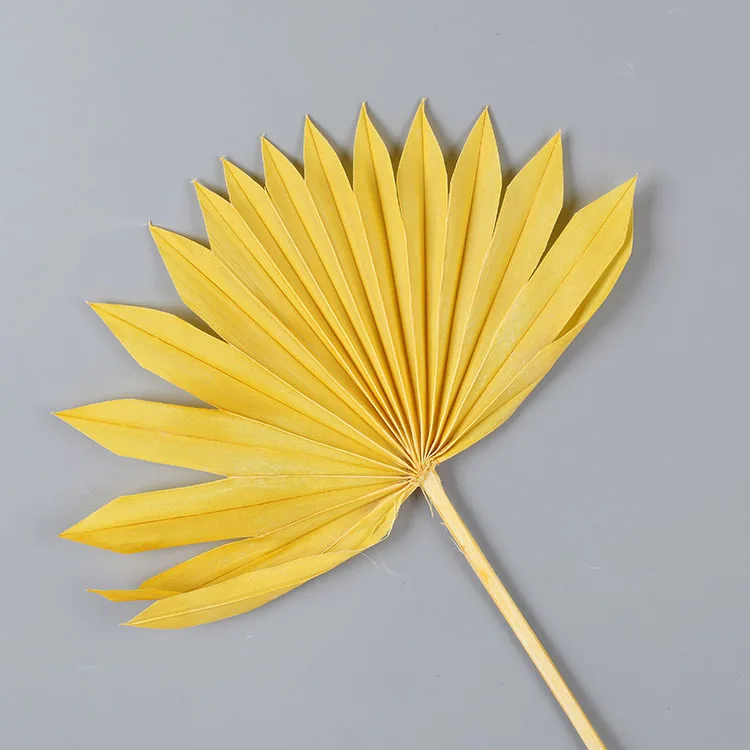 Boho wedding decor natural flower plant preserved large tropical dry palm spears fan leaf bleach white small dried palm leaves