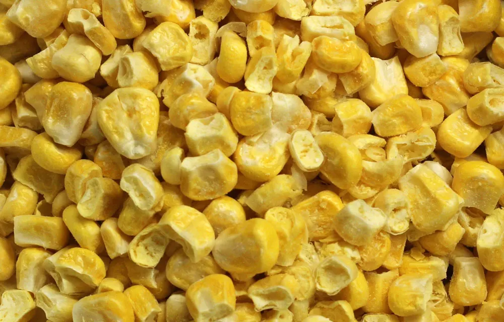 China Wholesaler Good Price Natural Freeze Dried Sweet Corn