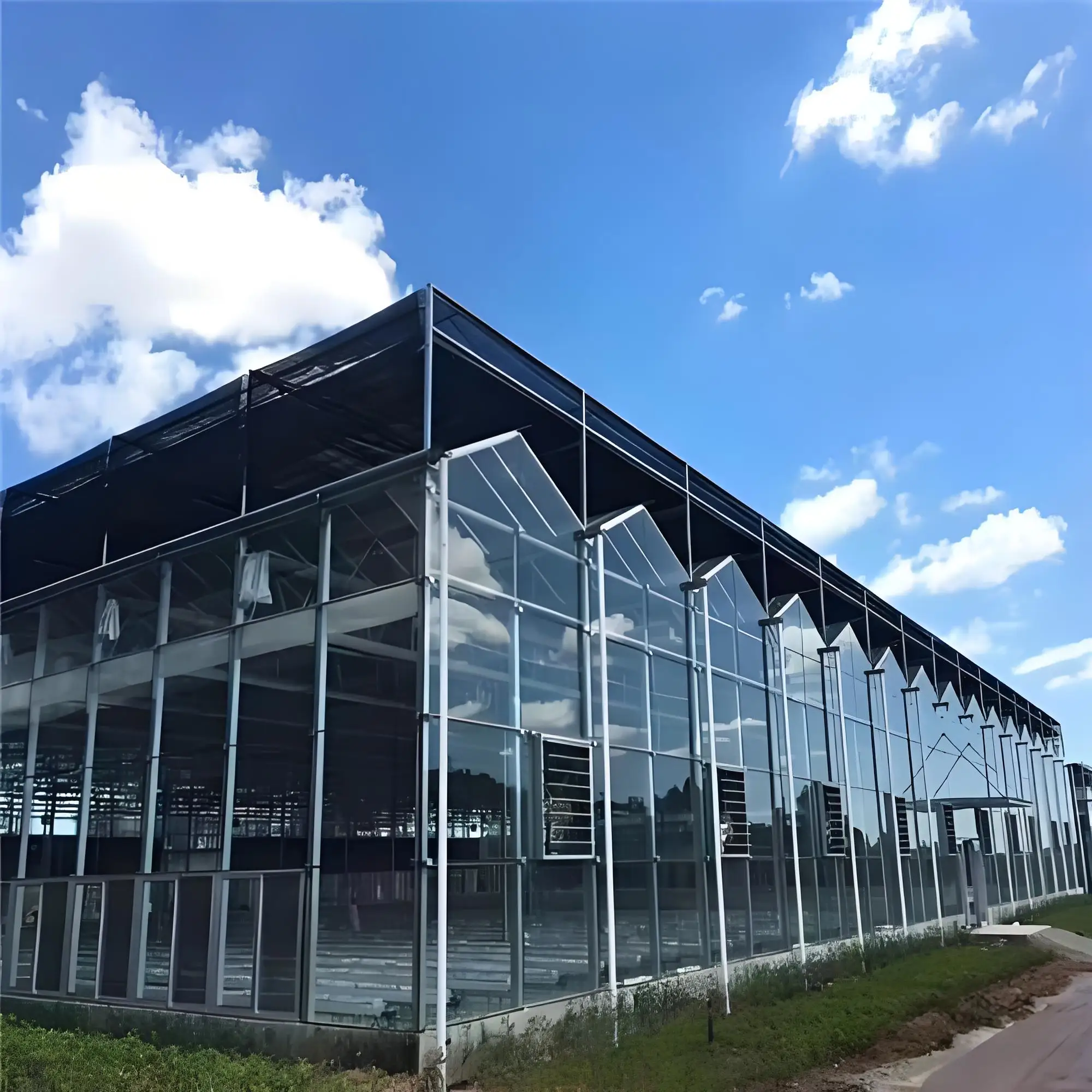 Hydroponic  system  glass greenhouse for tomato growing vegetable planting Mexico greenhouse