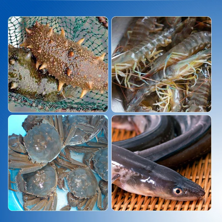 Powder Microbial big farm deodorants special for Effective Microorganism