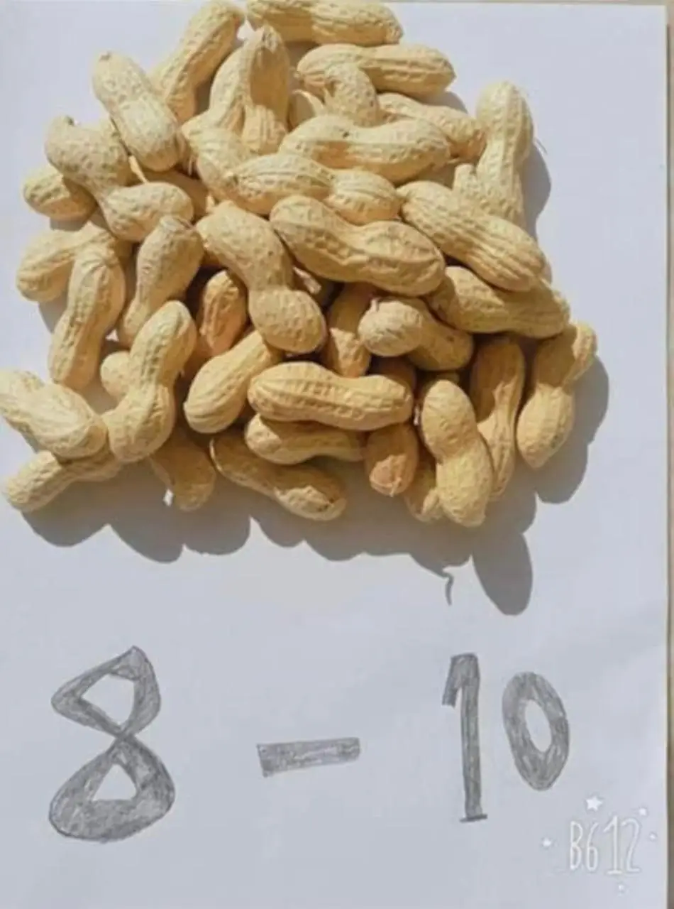
Exporters of Quality Peanuts, Groundnuts Wholesale Fresh Style peanuts without shell blanched peanut kernels 