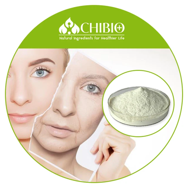 Заводская поставка, КОШЕРНЫЙ Сертифицированный 100% аллерген, водорастворимый грибной хитозан для косметического ухода за кожей