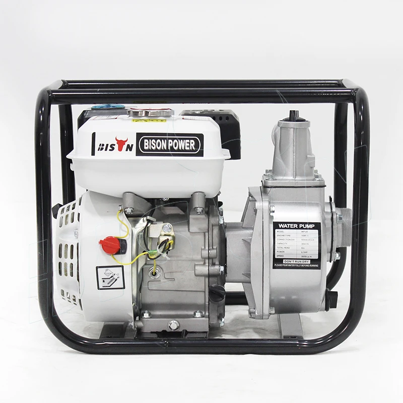 Bison China 2 Inch 1 Cylinder Gas Engine Trash Water Pump