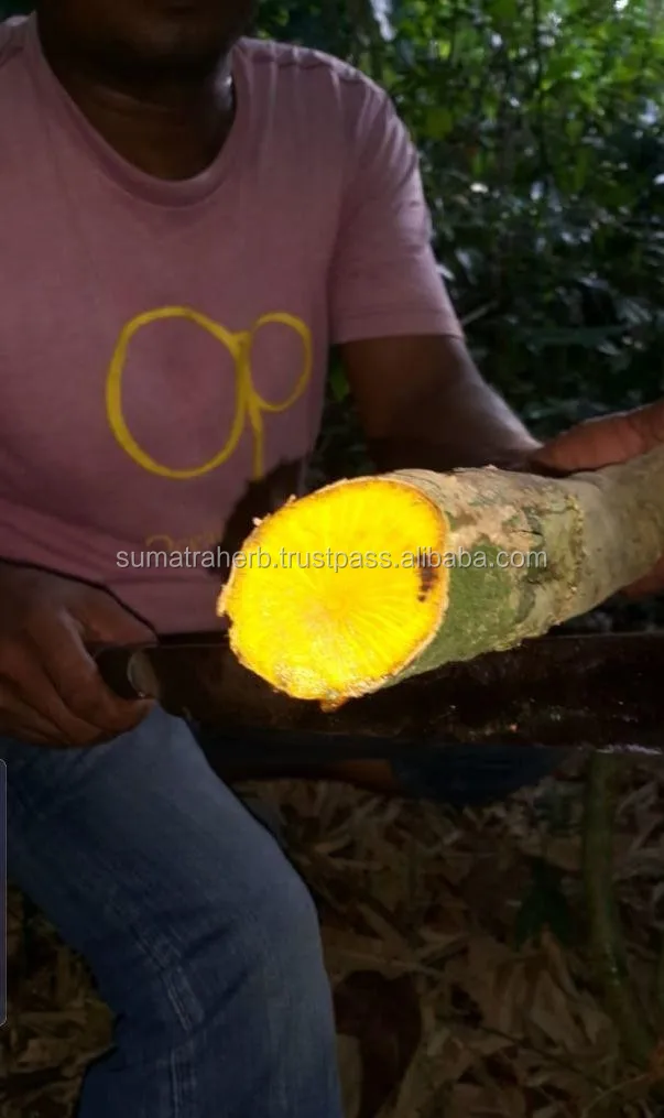 
factory price berberine hydrochloride powder for Health medicine 