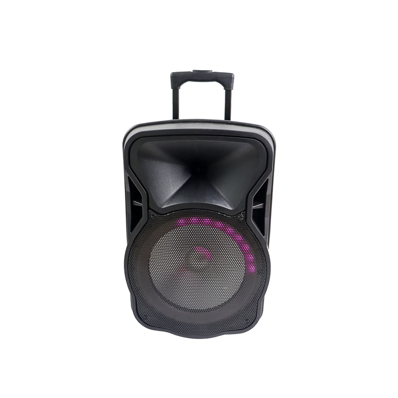 2024 Wholesale price 12 inch subwoofer cheap 3.7v digital amplifier ce fc rohs mini mobile portable vibration trolley speaker